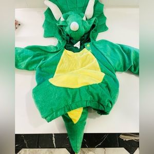 Dinosaur Costume 12-18M
